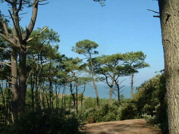 Cottages Du Valcoquet Saint-Brévin-les-Pins Ngoại thất bức ảnh